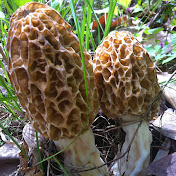 Profile Picture of Chris Spellman (@spellmanchris) on Youtube