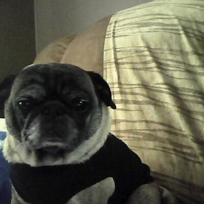 Profile Picture of Bonnie Fowler (@@bonniefowler2) on Twitter