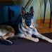 Profile Picture of Loretta Weber (@loretta.weber.31) on Facebook