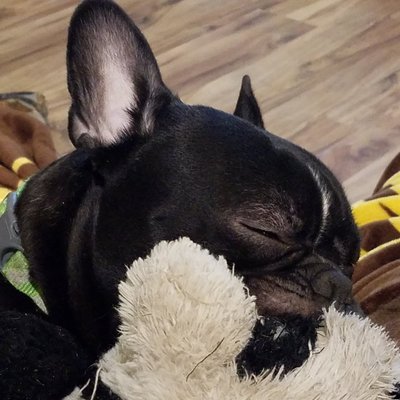 Profile Picture of Jim Bainer (@BainerJim) on Twitter