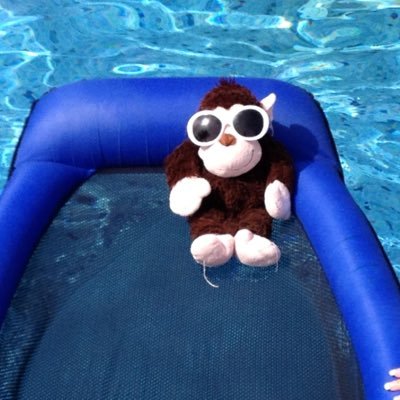 Profile Picture of Bob Frazer (@BCBold) on Twitter