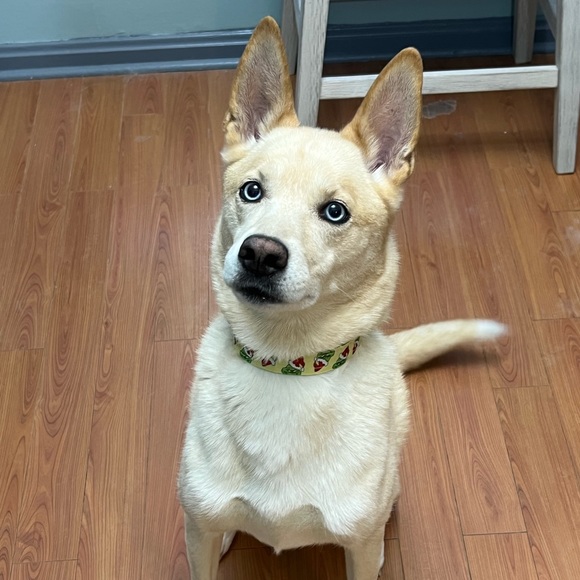 Profile Picture of Jenna Matey (@jennamatey) on Poshmark