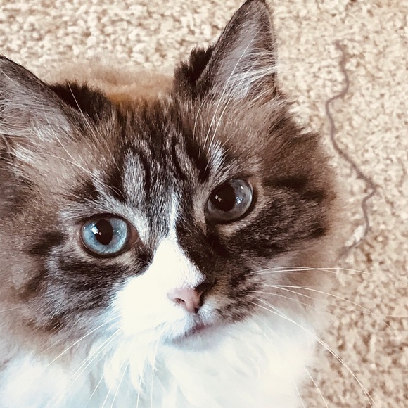 Elaine Buonagurio - Poshmark Profile Picture of Elaine Buonagurio (@elainem614) on Poshmark