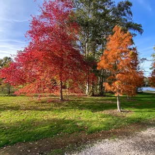 Profile Picture of Susan Kempski (@susankempski) on Instagram