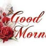 Profile Picture of Atef Ahdallatef (@atef_abdallatef) on Instagram