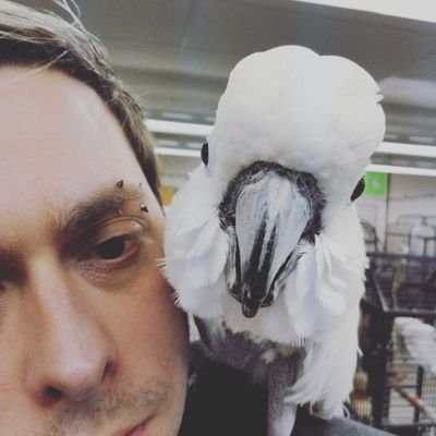 Profile Picture of Mark Swears (@MarkLidstone) on Twitter