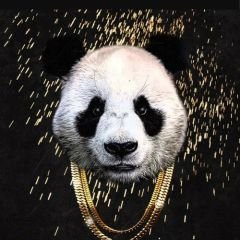 Profile Picture of Pandaz101 (@MadelineHobbs12) on Twitter