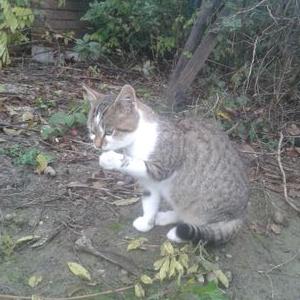 Profile Picture of Julia Eberhart (@eberhart2003) on Twitter