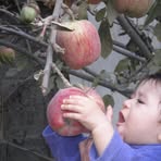 Profile Picture of Graciela Humphreys (@graciela.humphreys) on Facebook