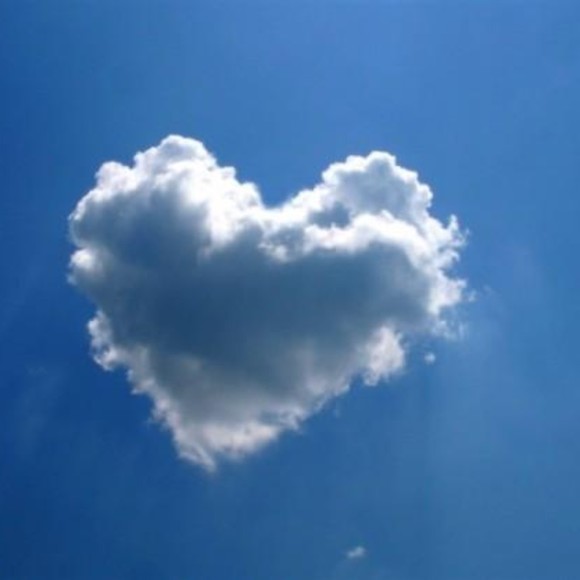 Donald Godelia - Poshmark Profile Picture of Donald Godelia (@mccluresi) on Poshmark