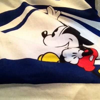 Profile Picture of Hope Liu (@hopeshank) on Twitter