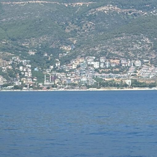 Profile Picture of Buddy Coco (@buddyboytho) on Tiktok