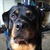 Profile Picture of R Leon Fulcher (@rleon.fulcher) on Facebook