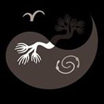 Profile Picture of James Pavis (@balanced_abundance) on Instagram