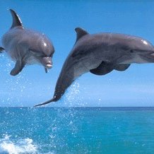 Profile Picture of Eva Segarra Abella (@evasegarrad) on Twitter