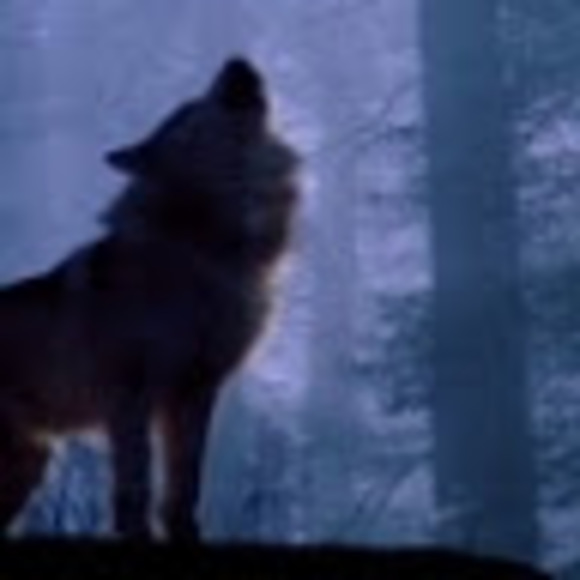 Profile Picture of Taylor Richards (@xisks) on Poshmark