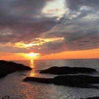 Profile Picture of Kim Stout (@kim-stout-15) on Quora