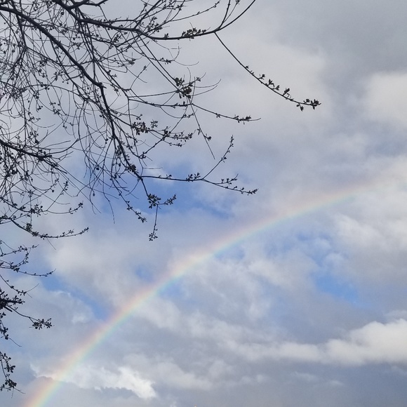 Profile Picture of Sandra Marks (@fides3) on Poshmark