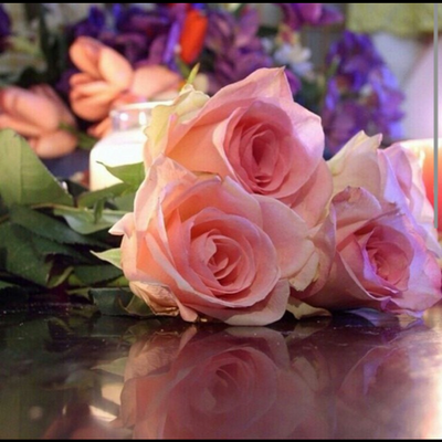 Profile Picture of Samra Nor (@amal_sabir) on Twitter