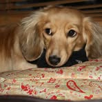 Amy Checkley - Facebook Profile Picture of Amy Checkley (@amy.checkley.3) on Facebook