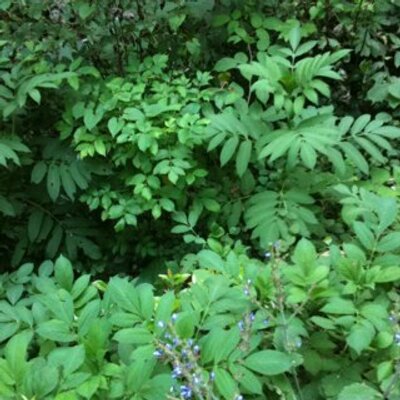 Murat Durmaz - Twitter Profile Picture of Murat Durmaz (@DurmazMd) on Twitter