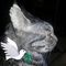 Profile Picture of Sharon Counterman (@sharon.counterman.37) on Facebook