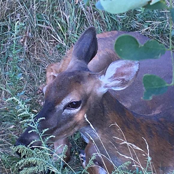 Profile Picture of Paul Radzikowski (@redrockstone) on Poshmark