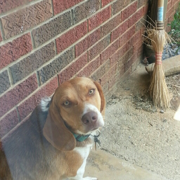 Profile Picture of Tamra Fain (@nom_t) on Poshmark