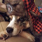 Profile Picture of Tammy Shumate-Huff (@tamara.shumate.huff) on Instagram