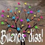 Profile Picture of Alejandra Simón (@alejandrasimon4359) on Instagram