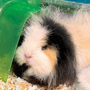 Profile Picture of PAIGE HALE (@paigehale4125) on Youtube