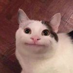 Profile Picture of paulb.ruhn (@paulb.ruhn) on Instagram