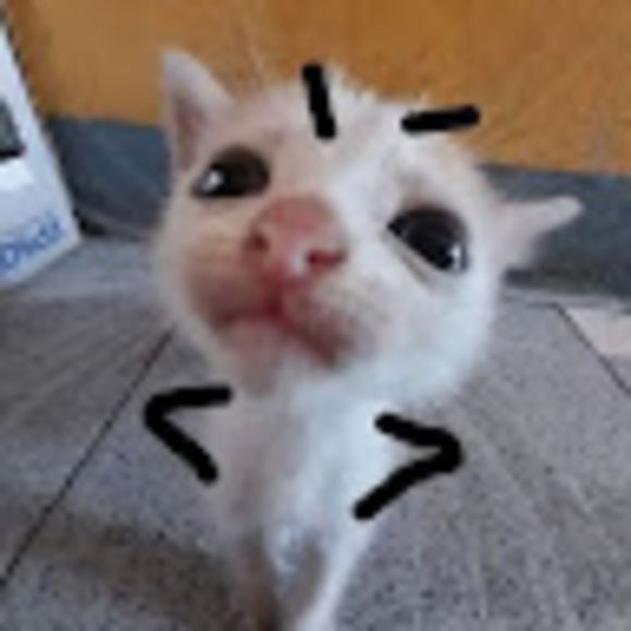 Profile Picture of Freeman F (@ricksimons11011) on Poshmark