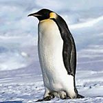 Profile Picture of kristian lopez (@kristian_pengu) on Instagram