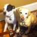 Profile Picture of Joseph J Zingaro (@joseph.j.zingaro) on Facebook
