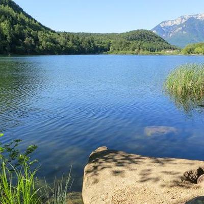 Profile Picture of Alsaif (@Mohammed2025x) on Twitter