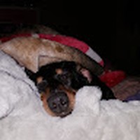 Profile Picture of Dakota Schneider (@dakota-schneider-10) on Quora