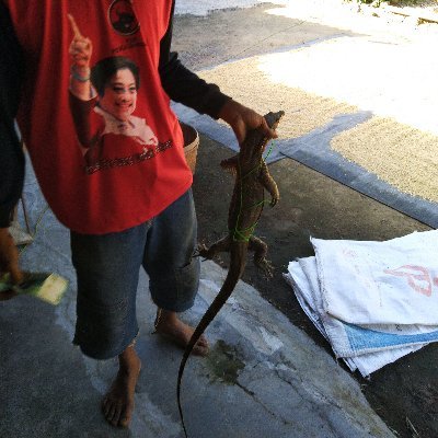 Profile Picture of Ari Ryan (@Ariryan24975136) on Twitter