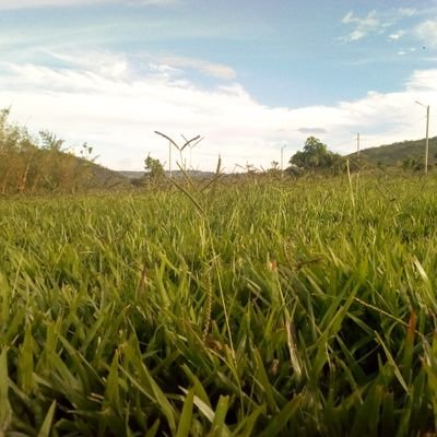 Profile Picture of Polly David M (@PollyDavidM1) on Twitter