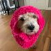 Profile Picture of Franky Congleton (@annated0606) on Pinterest