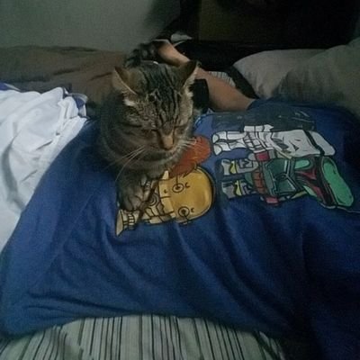 Profile Picture of Aaron Lee (@aaron_hanning) on Twitter