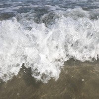 Profile Picture of Matteo Silva  (@matteo-silva-10) on Quora