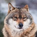 Profile Picture of Randy Hazlewood (@randy.hazlewood.90) on Facebook