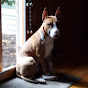 Profile Picture of Andrew Palermo (@@05s4) on Tiktok