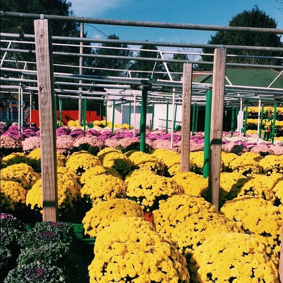 Profile Picture of Kyra Martone (@kyramart) on Poshmark