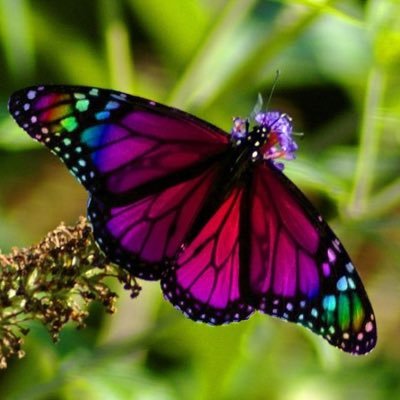 Profile Picture of Dee Hutson (@dee_hutson) on Twitter