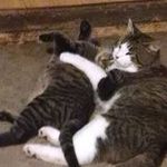 Profile Picture of Jacob Clemens (@jacobclemens606) on Instagram