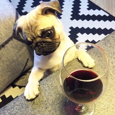 Profile Picture of Harsh Soni (@harshsoni1836) on Twitter