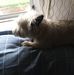 Profile Picture of Ralph Burrow (@ralph.burrow.16) on Facebook