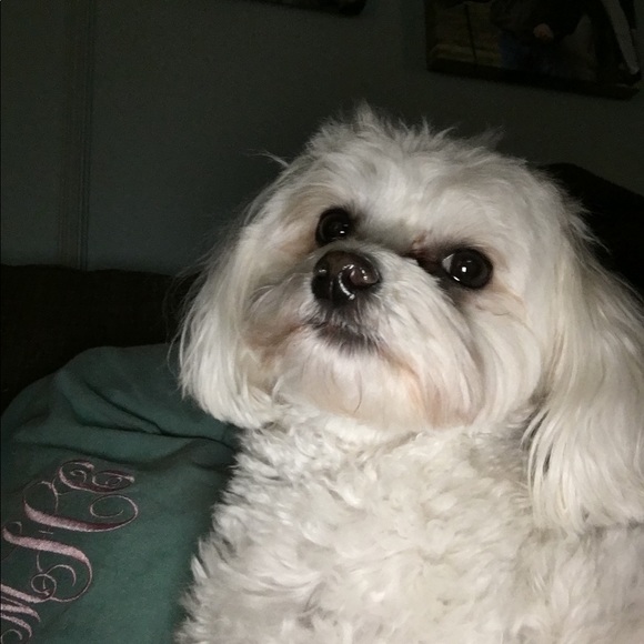 Profile Picture of Melanie Heath (@mchpch) on Poshmark